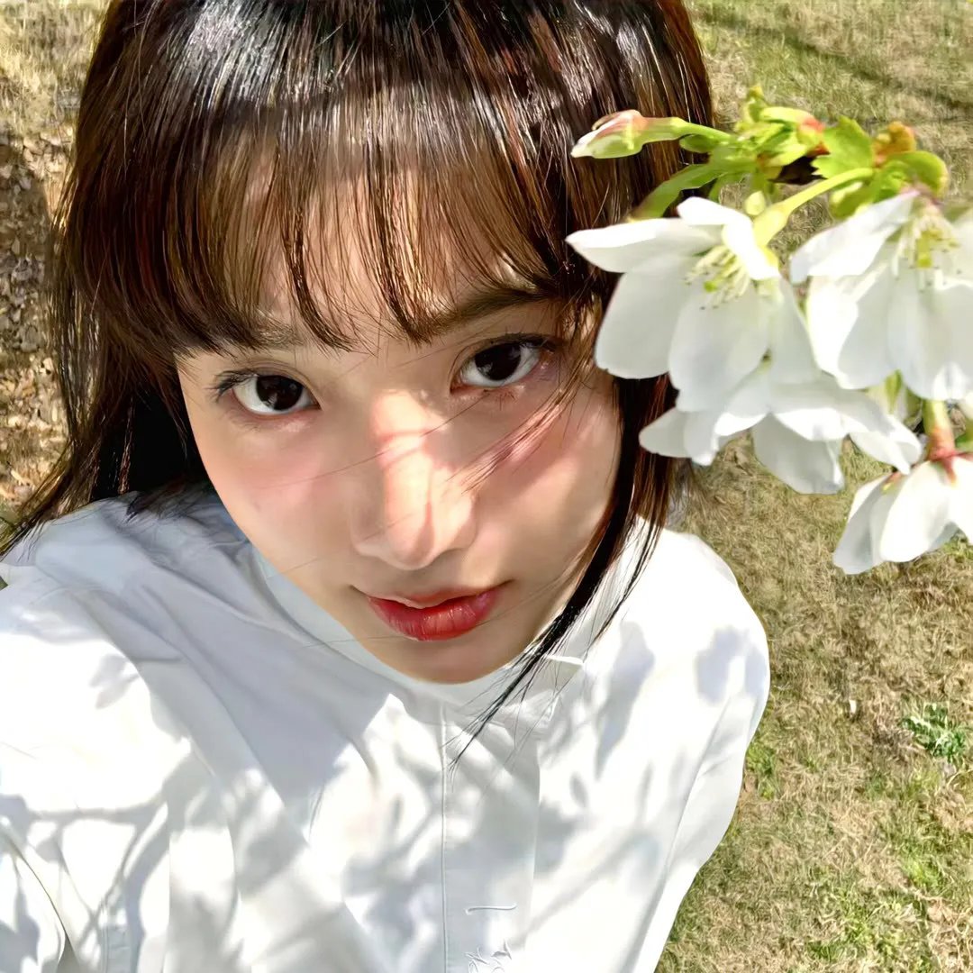 掟上今日子的备忘录