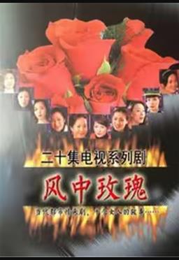 我可爱的宾杜 封面图